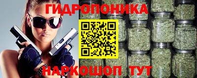 мдпв Нальчик