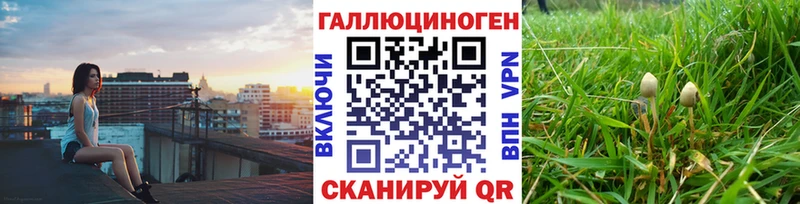 Купить где  Серпухов  Галлюциногенные грибы Cubensis 