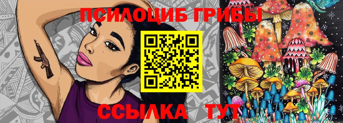 Псилоцибиновые грибы GOLDEN TEACHER Серпухов